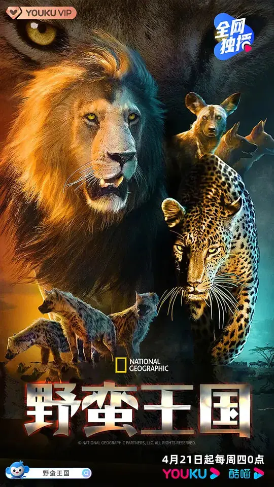 《野蛮王国 第四季》：狮群争霸再升级！谁将问鼎非洲草原的铁王座？