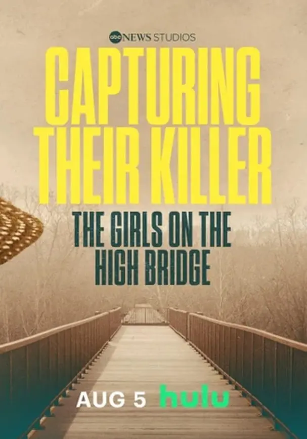 《抓捕凶手：高桥上的女孩们》：谁在高桥之上窥探少女的秘密？真相与人性的残酷交织
