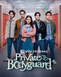 《私人保镖》：危险边缘的守护者，生死一线的情感羁绊与守护誓言